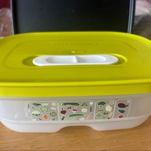 Tupperware Fridgesmart small